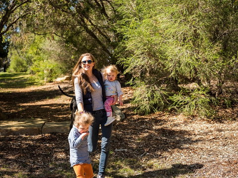 Rotary Peace Precinct - Rental Cars 2