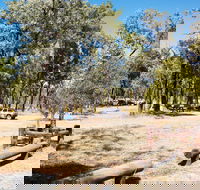 Salvator Rosa Carnarvon National Park - Rental Cars