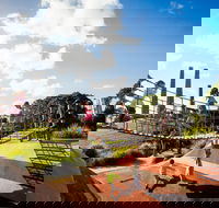 Sydney Park - Rental Cars