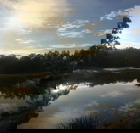 Tallwoods Country Club - Rental Cars