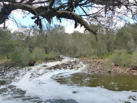 Walyunga National Park - Rental Cars 0
