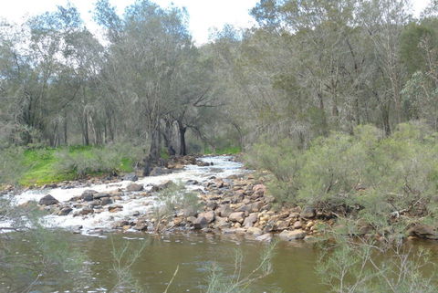 Walyunga National Park - Rental Cars 1