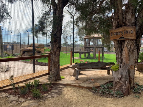 Zambi Wildlife Retreat - Rental Cars 1