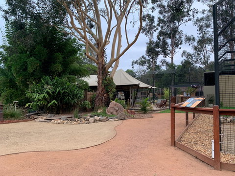 Zambi Wildlife Retreat - Rental Cars 2