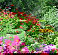 Alma Park - Rental Cars