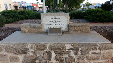 Barmera Horse Trough - Rental Cars 0