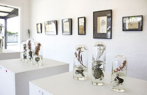 Corner Store Gallery - Rental Cars 2