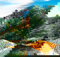 Gayndah's Big Orange - Rental Cars