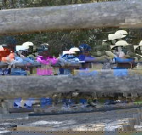 Harlow Park Horse Riding - Rental Cars