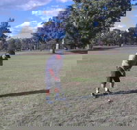 Inverell Golf Club - Rental Cars