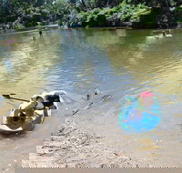 Neurum Creek Campgrounds - Rental Cars