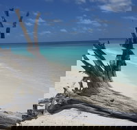 North West Island - Rental Cars