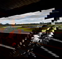 Reed Beds Bird Hide Boardwalk - Rental Cars