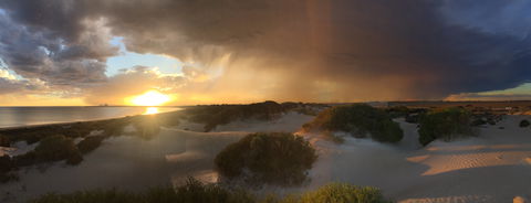 Shelly Beach Dune Walk Trail - Rental Cars 2