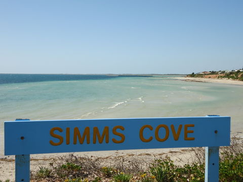 Simms Cove Lookout And Beach, Moonta Bay - Rental Cars 0