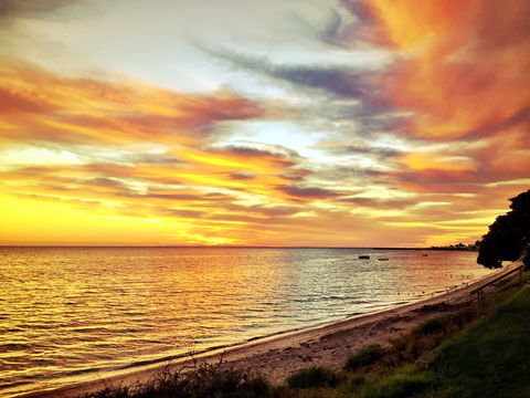 Stansbury Seaside Markets - Rental Cars 2