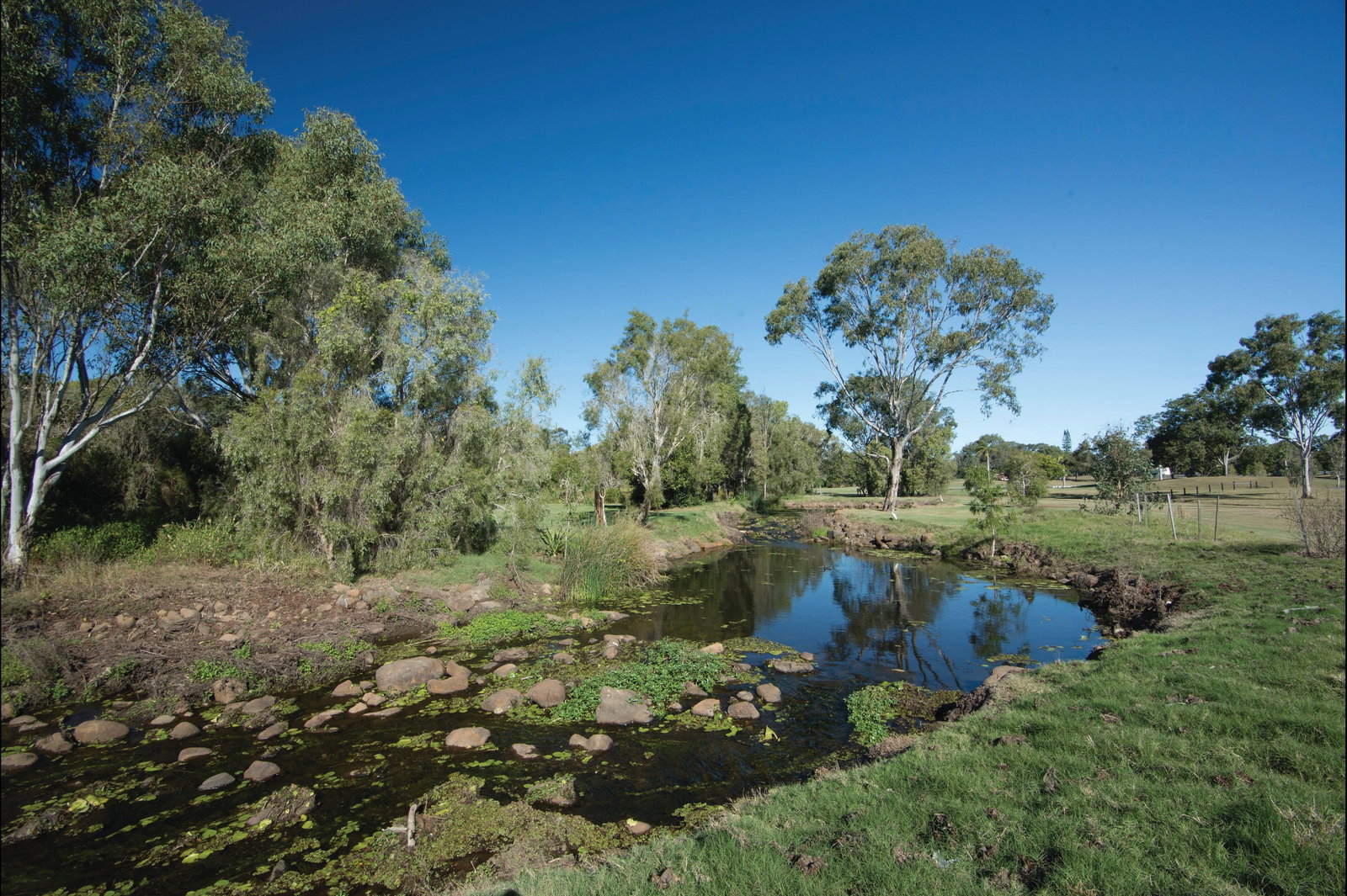 Winfield QLD Rental Cars