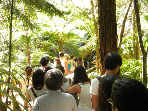 Tamborine Mountain Glow Worm Tours - Rental Cars 1