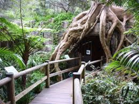 Tamborine Mountain Glow Worm Tours - Rental Cars 2