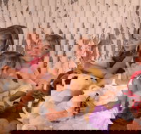 Tambo Teddies - Rental Cars