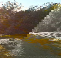 Vortex Healing Centre - Rental Cars