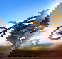 Willowbank MX - Rental Cars