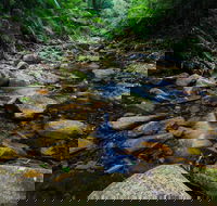 Willi Willi National Park