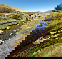 Australian Alps Walking Track - Rental Cars