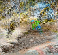 Castle Hill Blackstone Reserve - Rental Cars