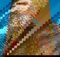 Deniliquin Water Tower Mural - Rental Cars