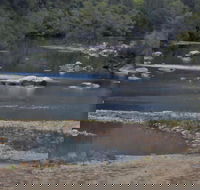 Georges Creek - Rental Cars