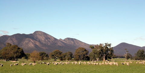 Grampians - Rental Cars 0