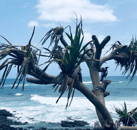 Hastings Point Beach