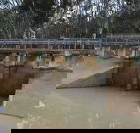 Lawson Syphon - Rental Cars