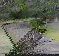 Leschenault Peninsula Conservation Park - Rental Cars