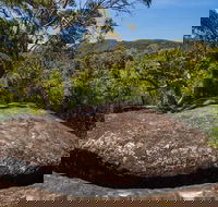 Marramarra Ridge to Smugglers Ridge walking track - Rental Cars