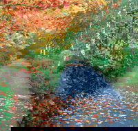 Mount Wilson and Mount Irvine - Rental Cars