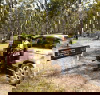 Murray Valley Regional Park - Rental Cars