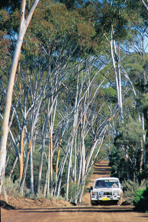 Norseman - Rental Cars 1