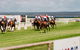 Port Lincoln Racing Club Inc - thumb 1