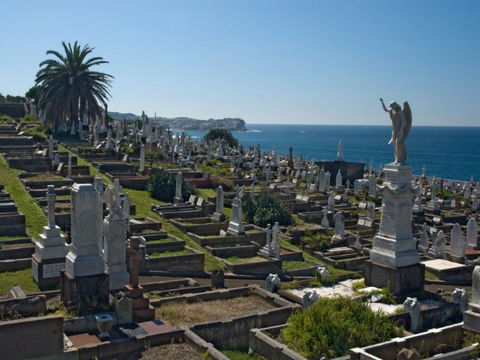 Waverley Cemetery - Rental Cars 0