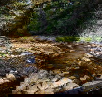 Wilson River picnic area