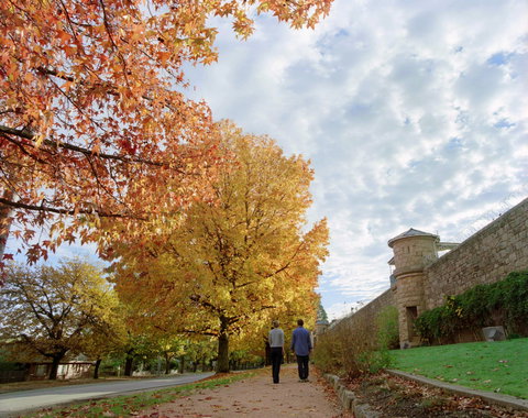Beechworth - Rental Cars 1