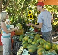 Broome Food and Heritage Trail - Rental Cars