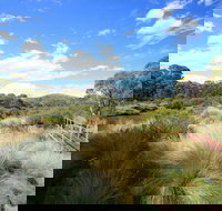 Bullocks walking track - Rental Cars