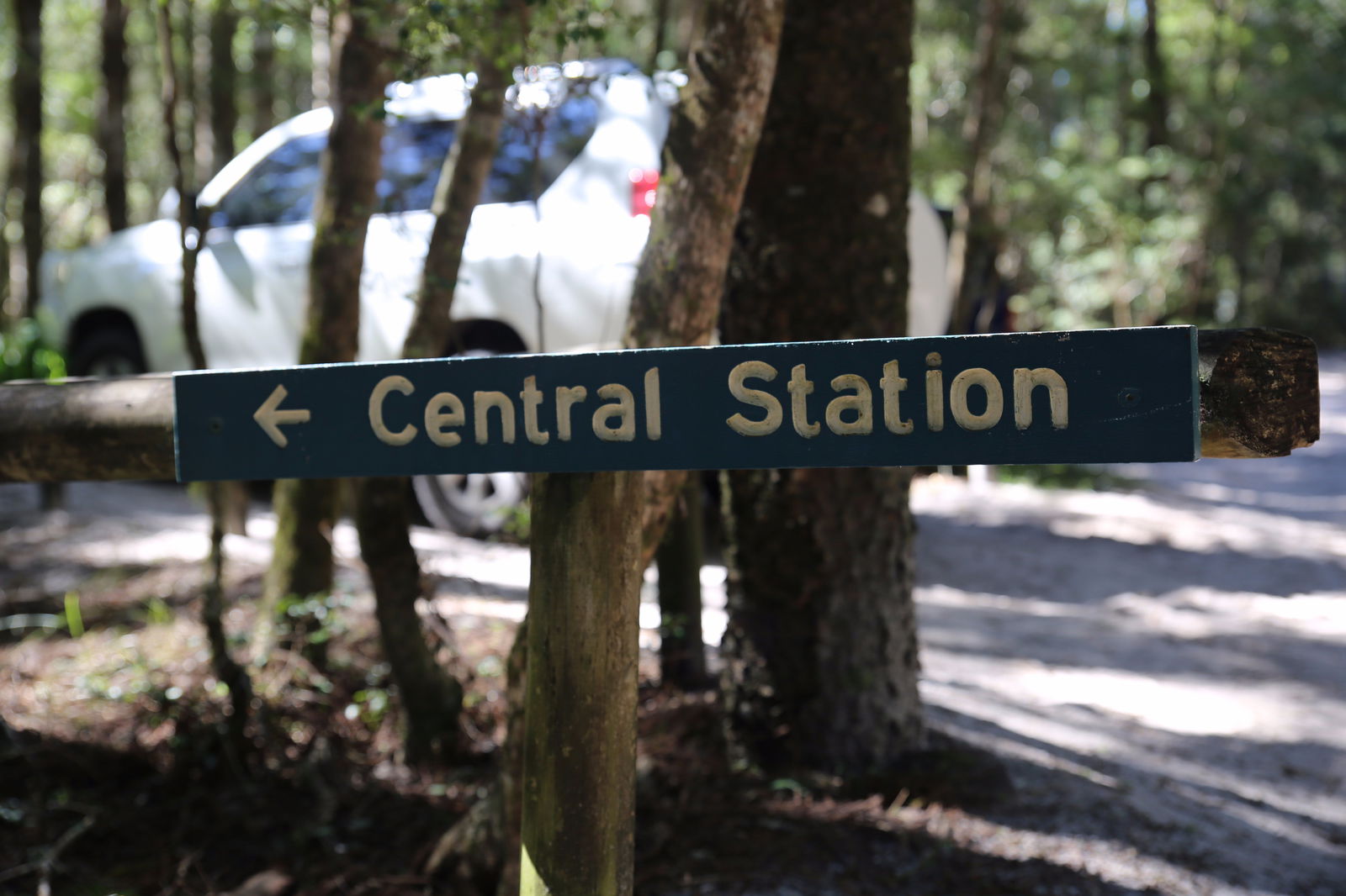  Rental Cars