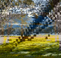 Coast to the Highlands Scenic Drive  Kangaroo Valley - Rental Cars