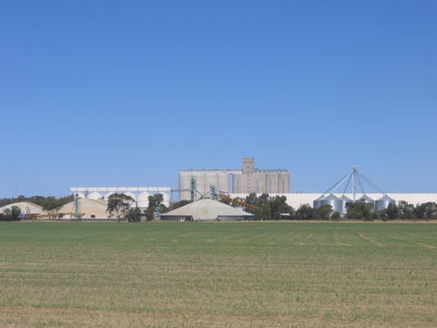 Co-operative Bulk Handling (CBH) Wheat Storage And Transfer Depot - Rental Cars 1