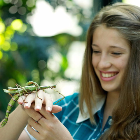 CSIRO Discovery Centre - Rental Cars 1
