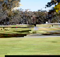 Deniliquin Golf Club - Rental Cars